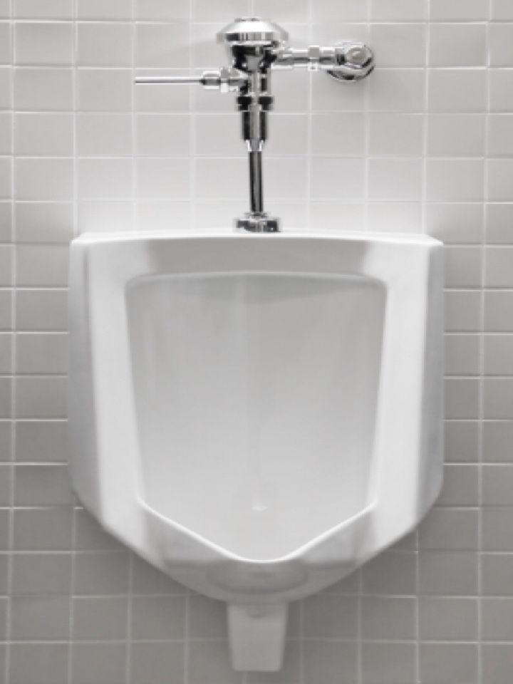 Arbour Lake, AB - Plumber needed for urinal unclog Arbour Lake, AB - Plumber needed for urinal unclog