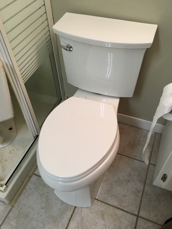 Arbour Lake, AB - Replace toilet Arbour Lake, AB - Replace toilet