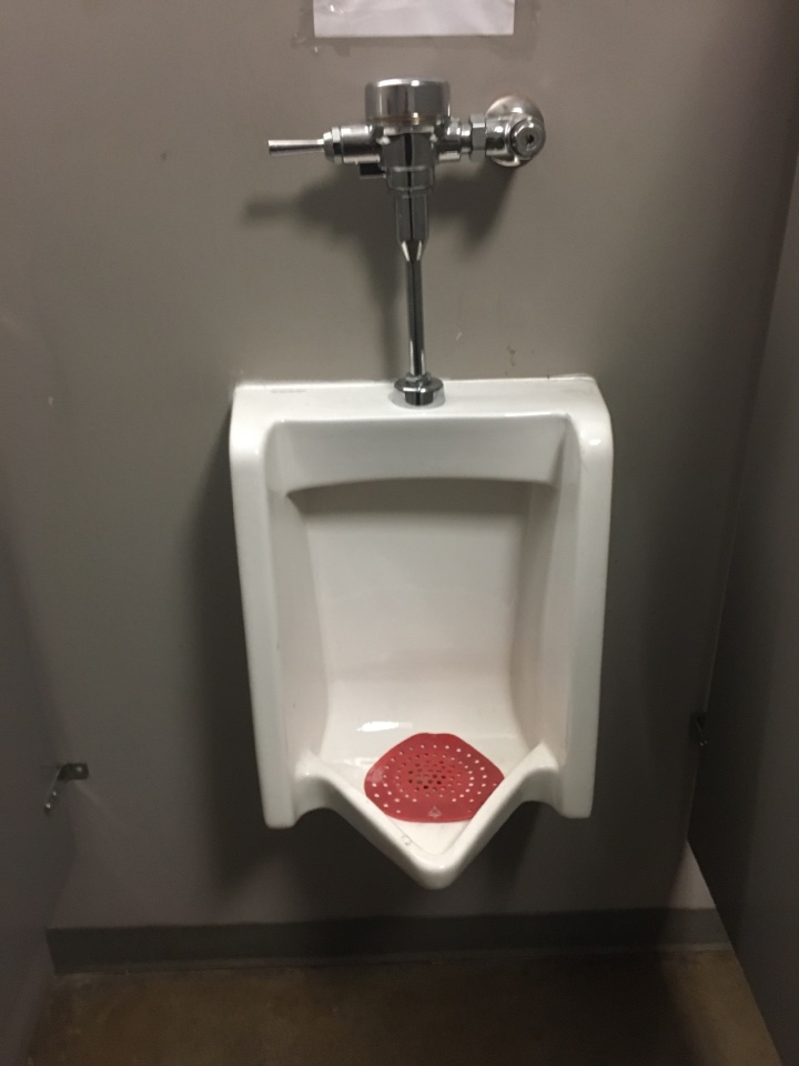 Arbour Lake, AB - Plumber needed: plugged urinal Arbour Lake, AB - Plumber needed: plugged urinal