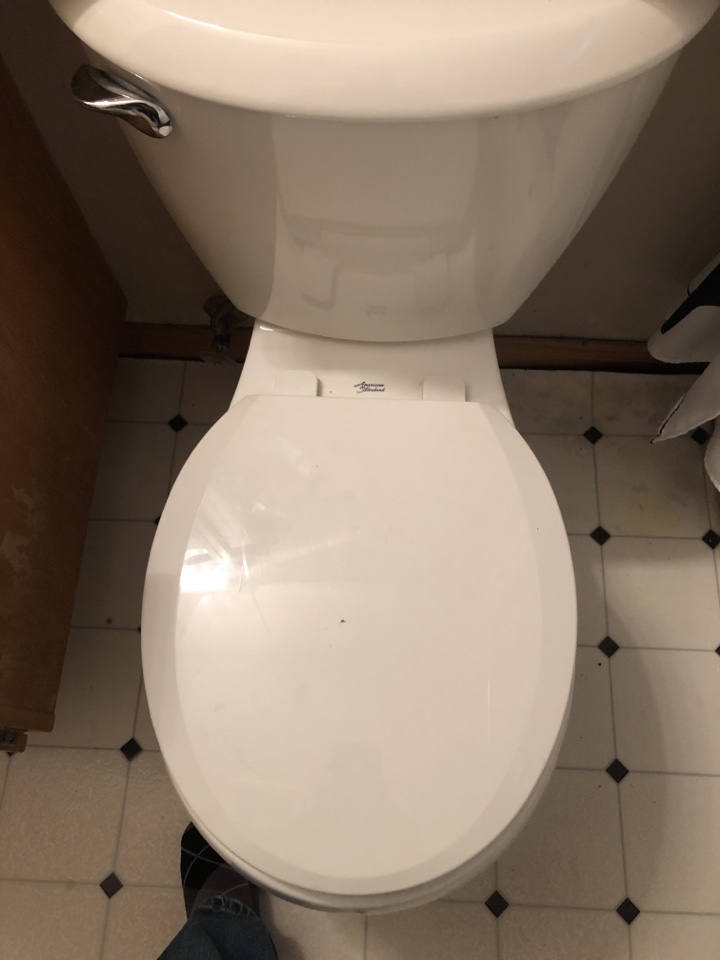 Arbour Lake, AB - Plumber required toilet leaking from bowl replaced with new American standard Toilet Arbour Lake, AB - Plumber required toilet leaking from bowl replaced with new American standard Toilet