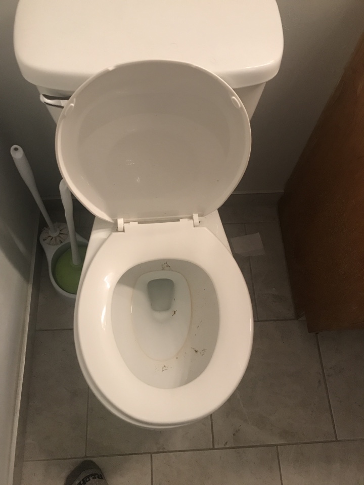 Arbour Lake, AB - Plumber required plug toilet cleared Arbour Lake, AB - Plumber required plug toilet cleared