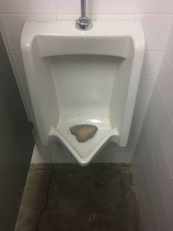 Arbour Lake, AB - Plumber needed for urinal blockage removal  Arbour Lake, AB - Plumber needed for urinal blockage removal