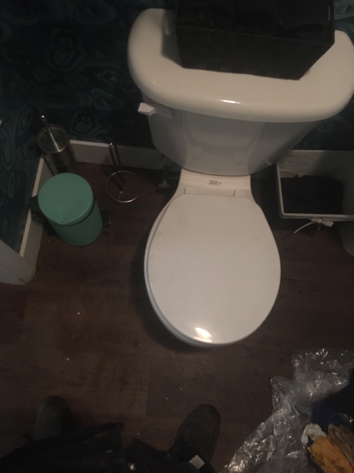 Arbour Lake, AB - Plumber needed for toilet backing up Arbour Lake, AB - Plumber needed for toilet backing up